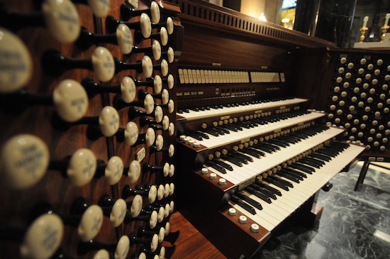 organ