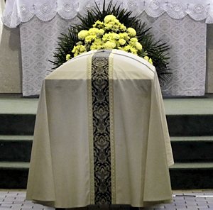 CNS photo