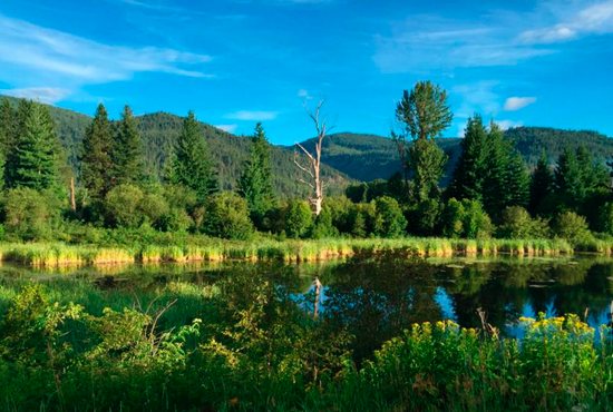 A pond and mountains are seen north of Sandpoint, Idaho, July 11. Pope Francis has proposed adding the care of creation to the traditional list of corporal and spiritual works of mercy. CNS photo/Cindy Wooden