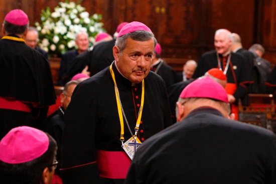 The pope has faced criticism for his appointment of Bishop Barros, who is alleged to have covered up sexual abuse by a priest.