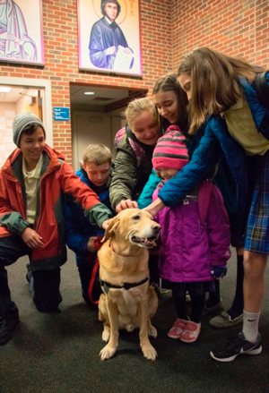 Therapy dog