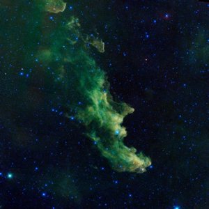 An undated handout photo released by NASA Nov. 1, 2013, shows the Witch Head nebula, named after its resemblance to the profile of a wicked witch.
