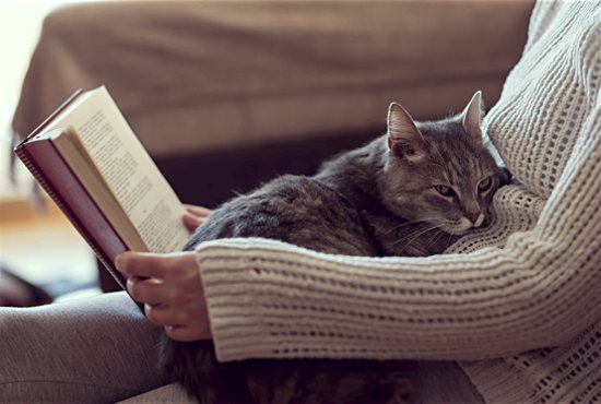 Resting and liesure
