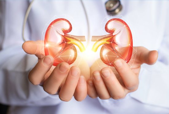 Kidney donation
