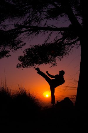 karate