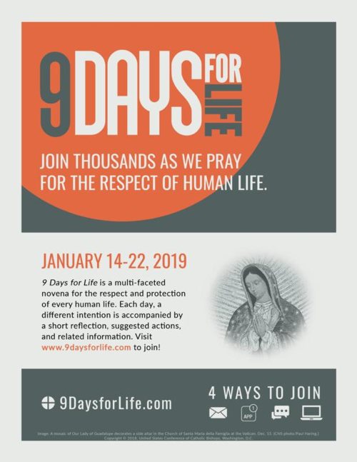 The U.S. Conference of Catholics Bishops announced Dec. 18 the annual "9 Days for Life" prayer and action campaign will run Jan. 14 to Jan. 22. Pictured is promotional material for the campaign.