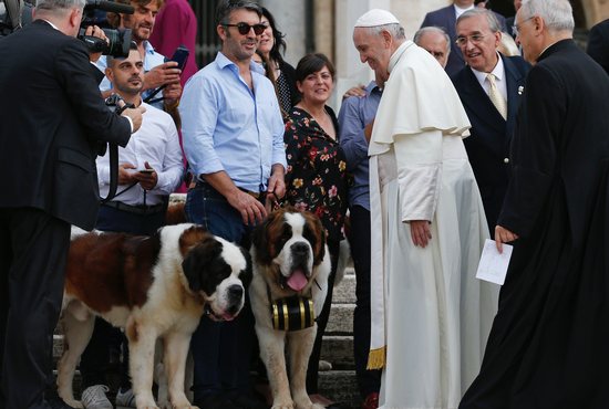 Pope Francis greets dog owners during his general audience in St. Peter's Square at the Vatican in this Sept. 19, 2018, file photo. The pope is in the doghouse with some pet lovers over recent comments about some couples preferring to have pets rather than children.