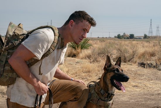 Channing Tatum and Lulu, a Belgian Malinois, star in a scene from the movie "Dog." The Catholic News Service classification is A-III -- adults. The Motion Picture Association rating is PG-13 -- parents strongly cautioned. Some material may be inappropriate for children under 13.