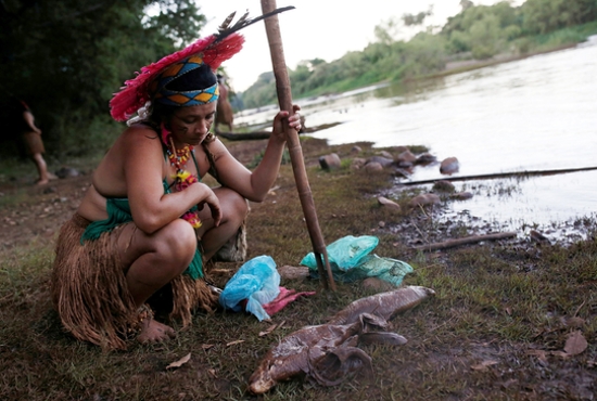 A woman from the Pataxo Ha-ha-hae tribe looks at dead fish near the Paraopeba River after a tailings dam owned by Brazilian mining company Vale SA collapsed near São Joaquim de Bicas, Brazil, Jan. 28, 2019.