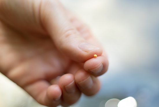 Woman holding the mustard seed in fingers