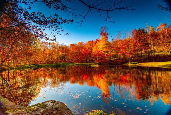 Autumn, Fall lake scene