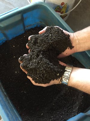 A file photo shows a person holding compost in a garden. The U.S. Conference of Catholic Bishops' doctrine committee issued a March 23, 2023, statement declaring two new methods for disposing of bodily remains, alkaline hydrolysis and human composting, "fail to satisfy the Church’s requirements for proper respect for the bodies of the dead."
