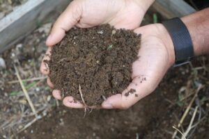 Father Benny Chittilappilly scoops up a handful of soil in his Newport, Vt., garden May 25, 2023. For Father Chittilappilly, a Vocationist priest from southern India, gardening is about more than growing vegetables.