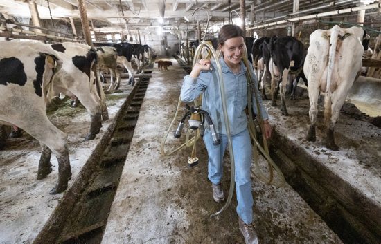 Milking:Bridgette Fink (now Kappers) carries milking clusters in the barn Sept. 11. 