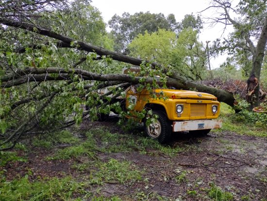 A downed tree on a truck on the property.