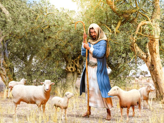 Shepherd and sheep