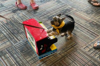 A therapy dog provides a light moment at a counseling site the Archdiocese of St. Paul and Minneapolis set up for Annunciation families impacted by the Aug. 27 shooting at an all-school Mass in the Minneapolis church.